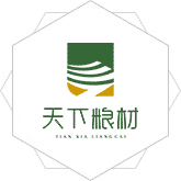 男人把大鸡巴插进女人逼里操爽网站